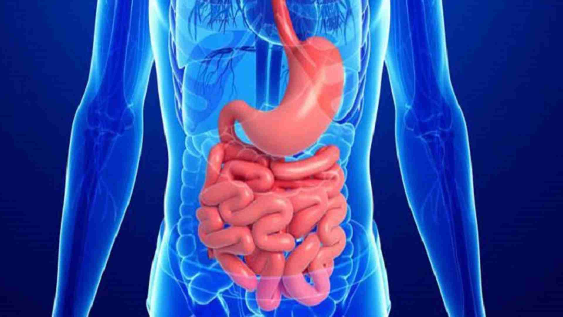 Gastro Intestinal Surgery - Sai Hospital Dombivli